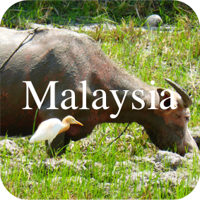 Malaysia