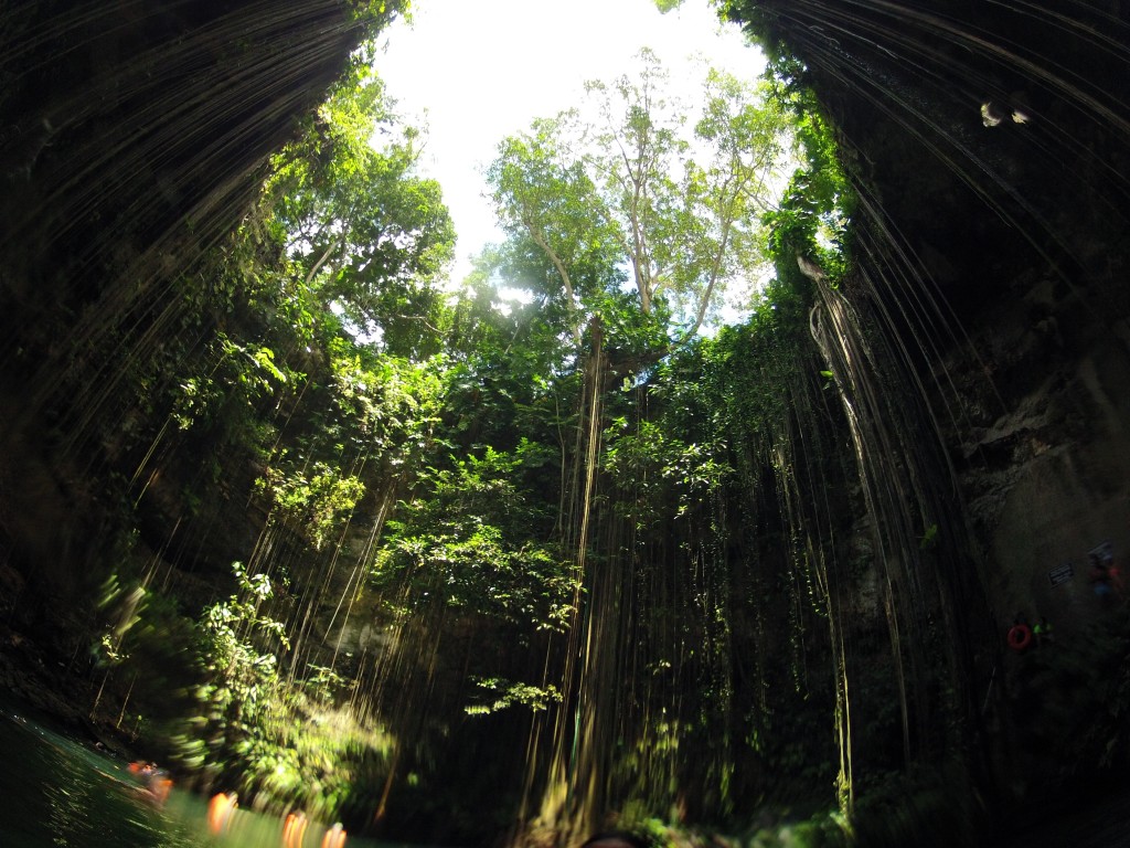 DCIM100GOPRO