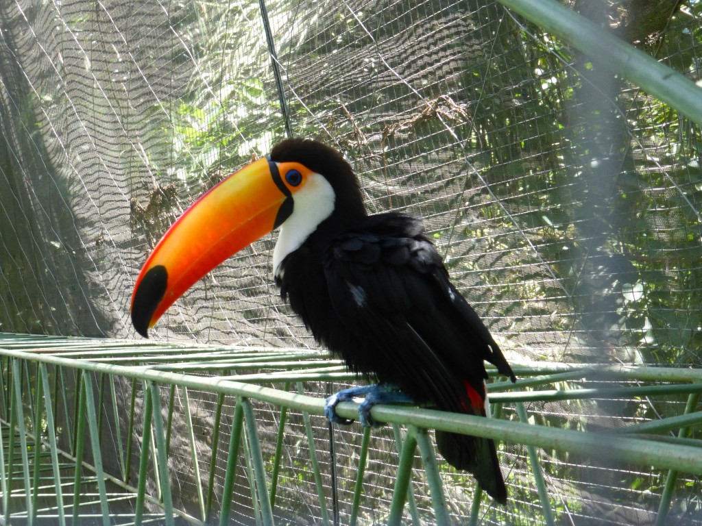 P1050538