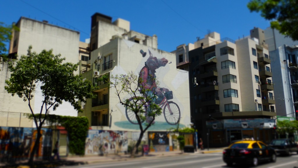 P1050565