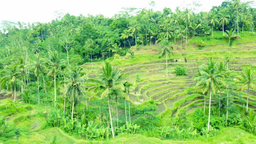 P1060408