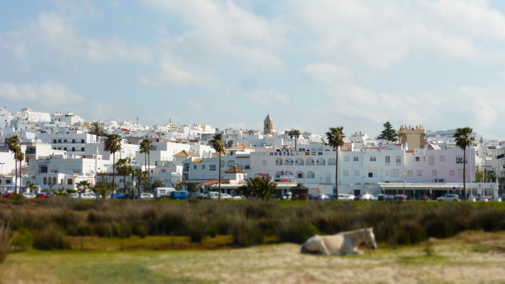 P1080312